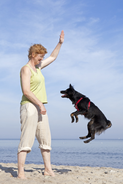 woman lets dog jump on the