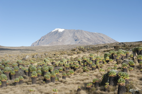 kibo peak extinct volcano
