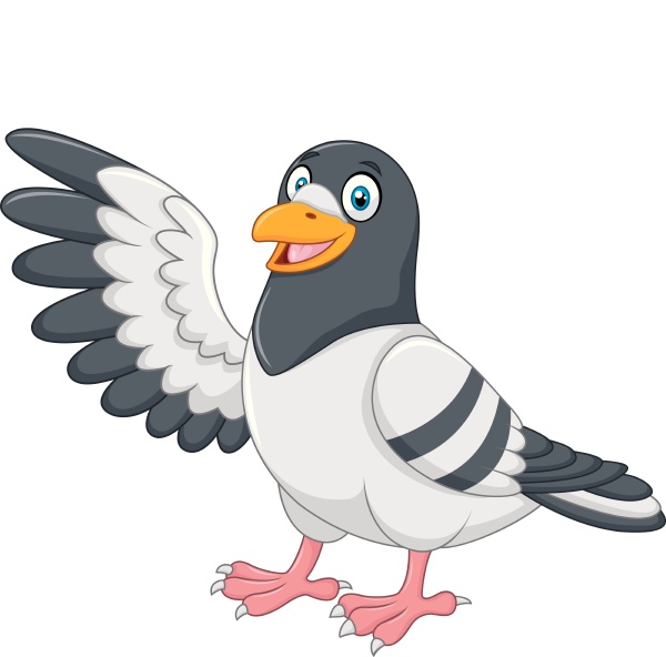Cartoon funny Pigeon bird presenting isolated on white - Stock image  #25076846 | PantherMedia Stock Agency