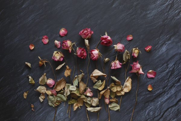 withered roses on slate