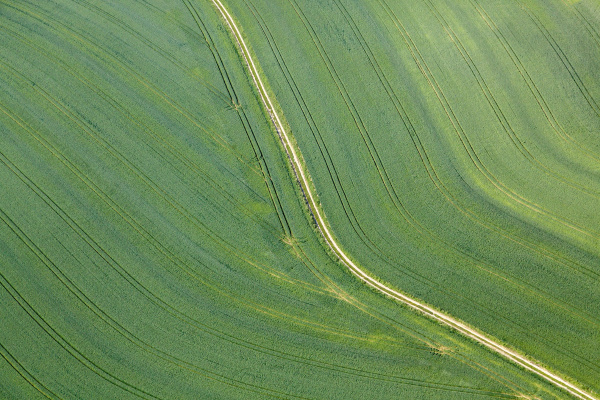 Aerial view of green grain field with a farm path - Stock image ...