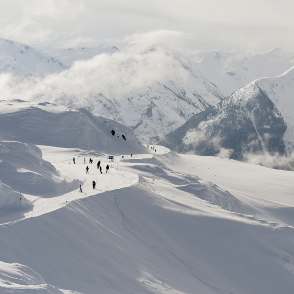 skiers on a snowy trail on
