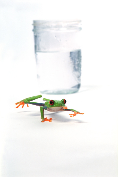 frog leaping away from glass of