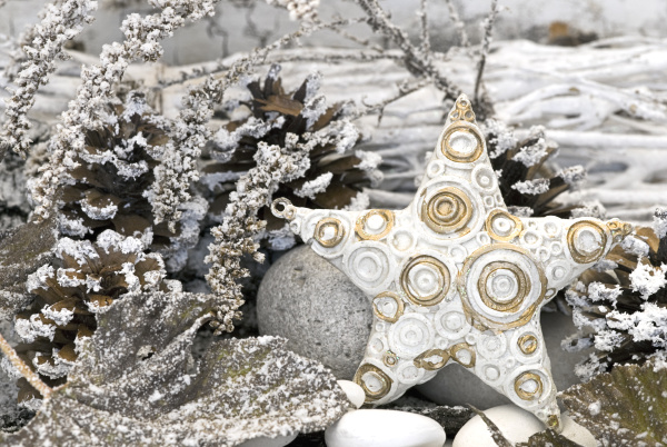 white christmas star with golden decoration
