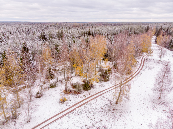 vinter landscape in the north of