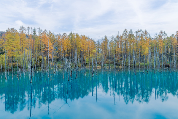 blue pond in autumn hokkaido