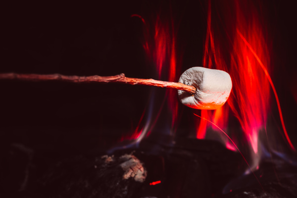 marshmallows over a campfire close up