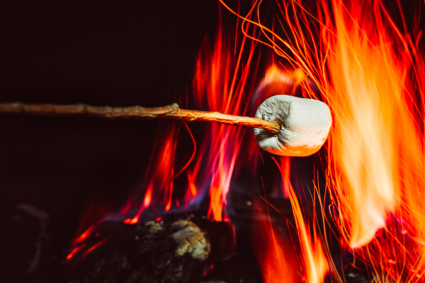 marshmallows over a campfire close up
