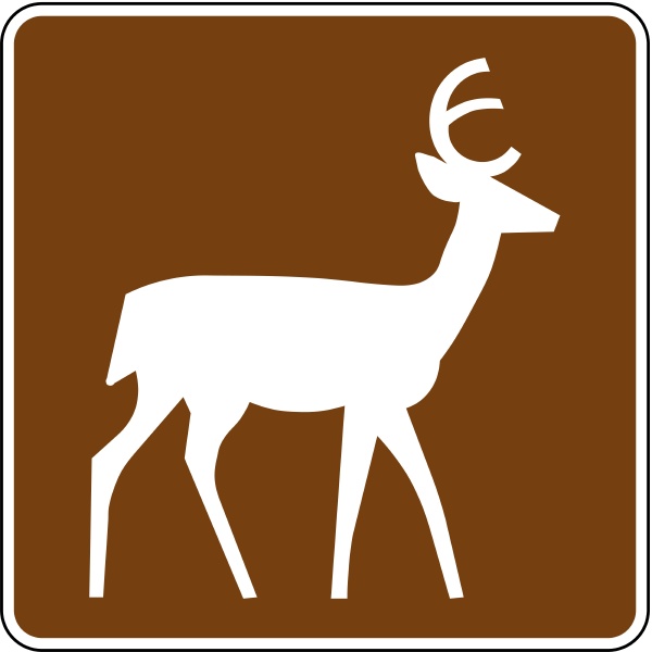 deer viewing area