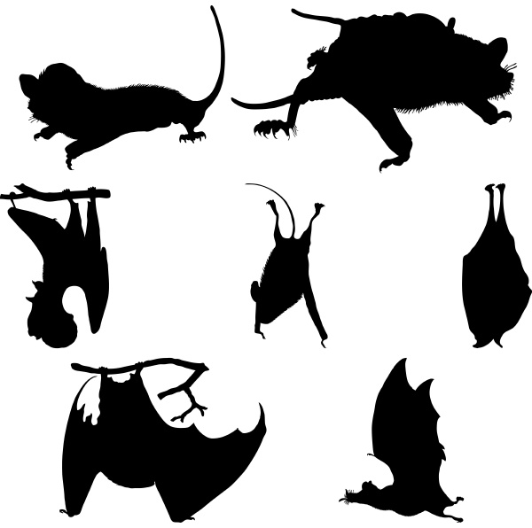 collection of bats silhouettes vector