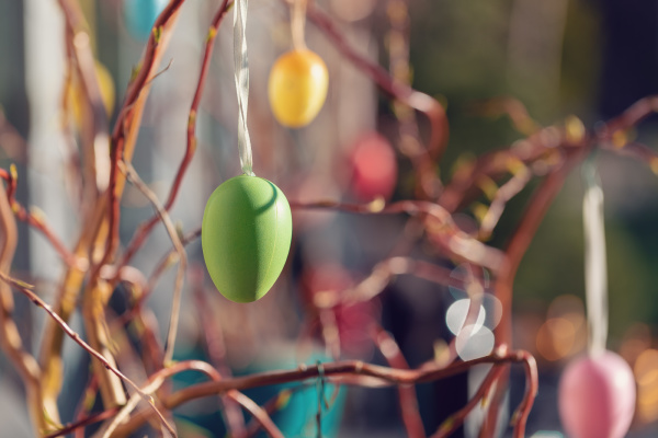 easter eggs on tree with bokeh