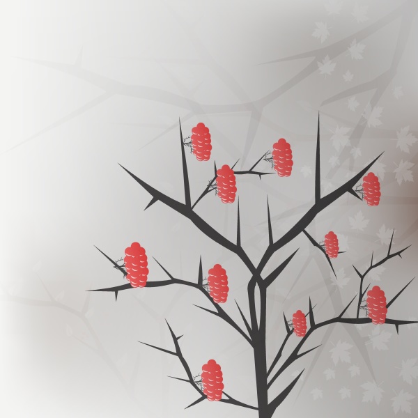 viburnum twig with red berryes bunches