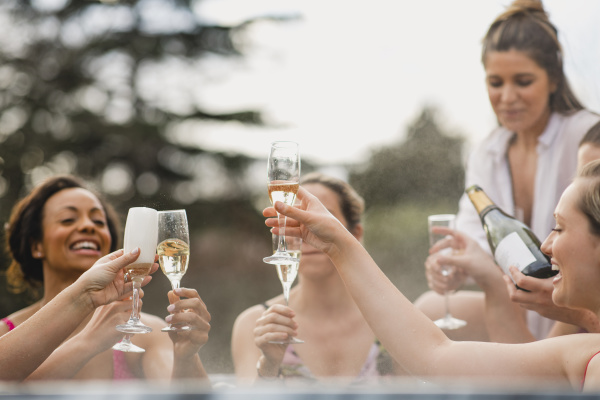 Raise a Glass - Stock Photo - #26892805 | PantherMedia Stock Agency