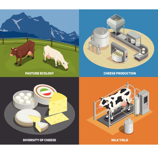 cheese production 2x2 design concept set
