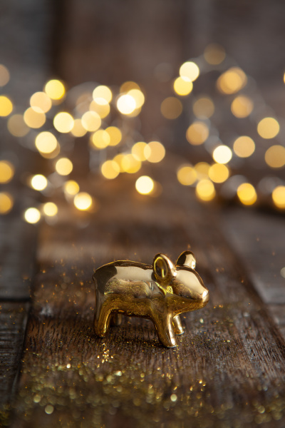 lucky pig in front of bokeh