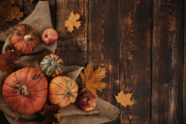 thanksgiving, background, , autumn, harvest - 27404369