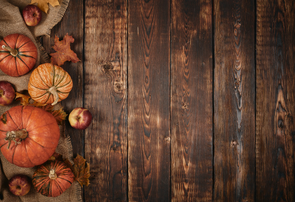 thanksgiving, background, , autumn, harvest - 27404389