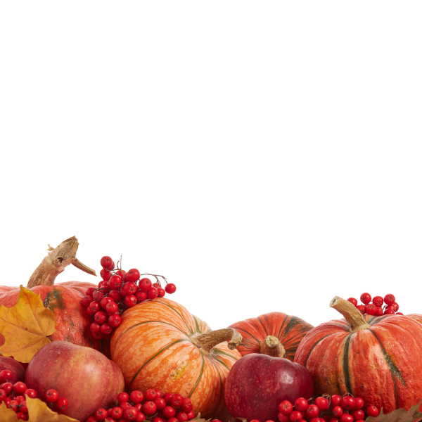thanksgiving background autumn harvest