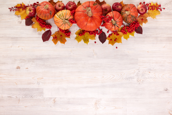 thanksgiving, background, , autumn, harvest - 27405645