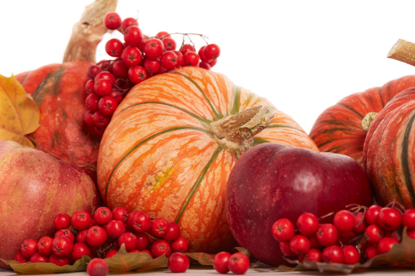 thanksgiving, background, , autumn, harvest - 27405655
