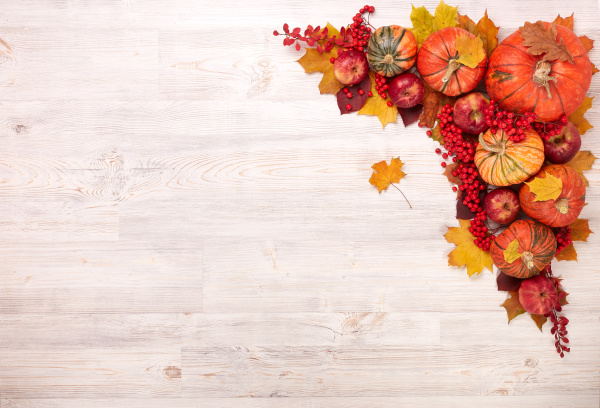 thanksgiving, background, , autumn, harvest - 27405704
