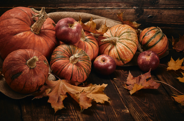 thanksgiving, background, , autumn, harvest - 27405710