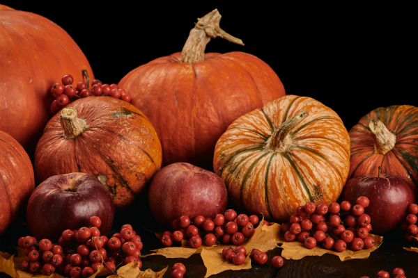 thanksgiving, background, , autumn, harvest - 27409092