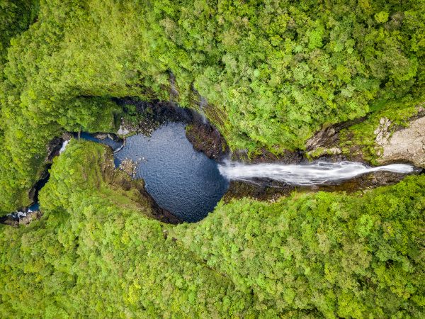 aerial view of waterfall in foret