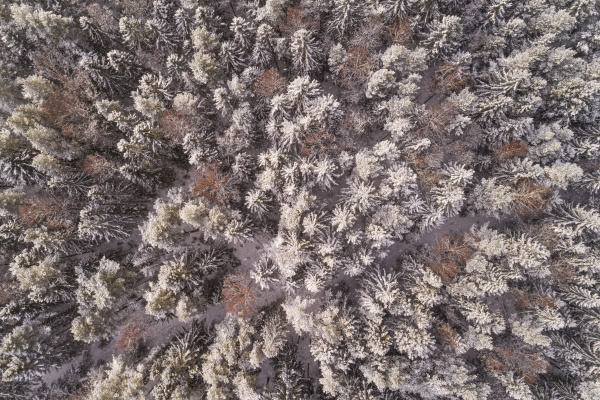 aerial view of the snowy colorful