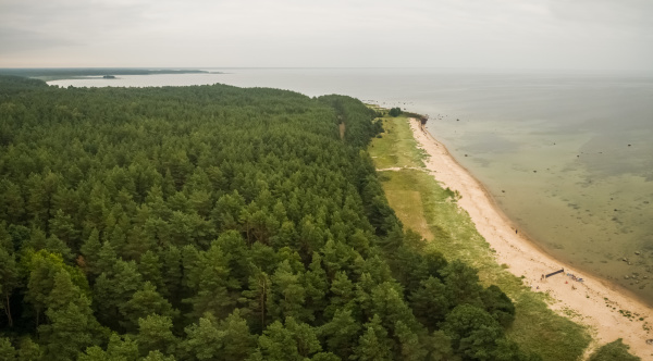 panoramic aerial view of the coast