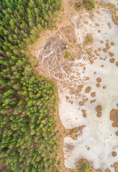 aerial view of forest surrounding frozen