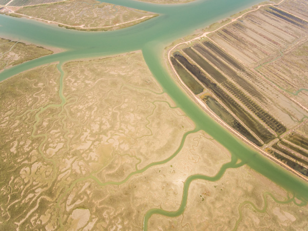 aerial view of wetland in andalusia