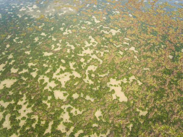 abstract aerial view of terschelling landscape