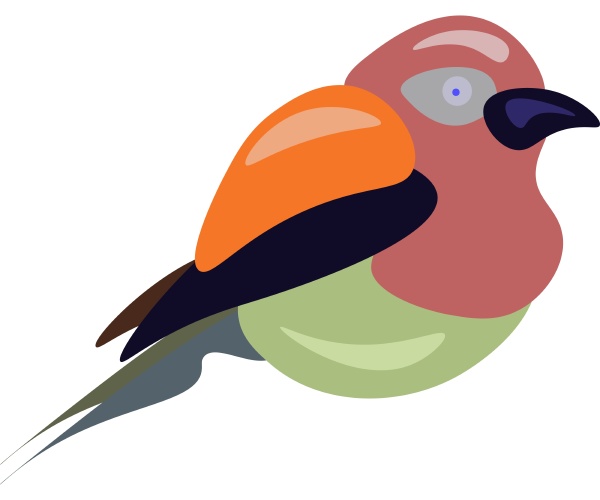 jungle bird illustration vector
