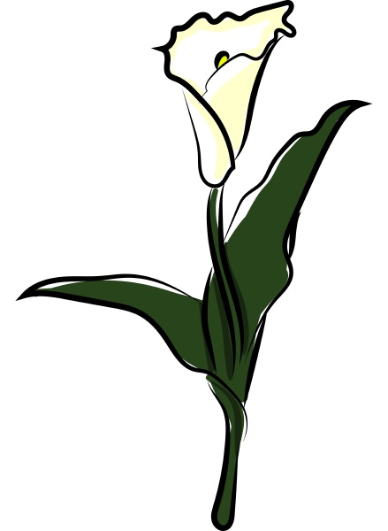 white flower illustration vector