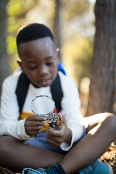 boy examining pine cone in forest