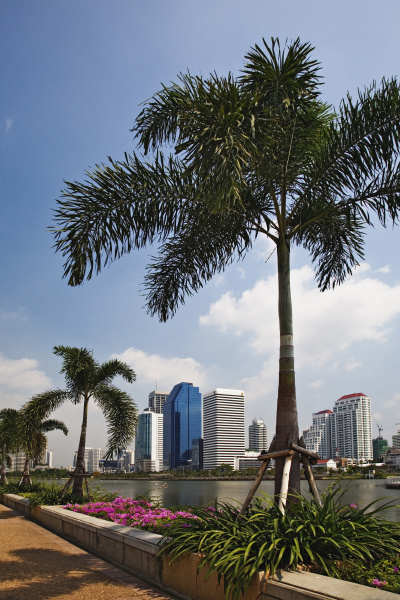 modern bangkok skyline from queen sirikit