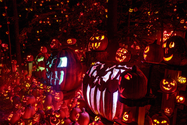 large display of many pumpkins decorated