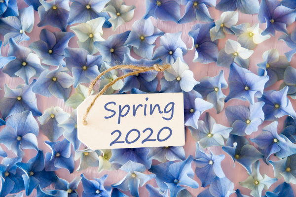 Media-id 27943229