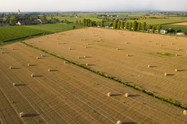 drone shot of cultivated land at