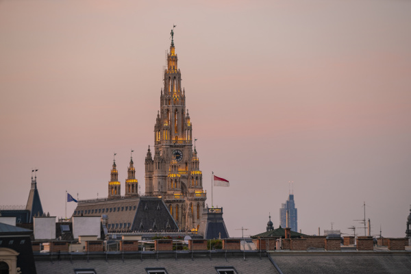 vienna city hall against sky during