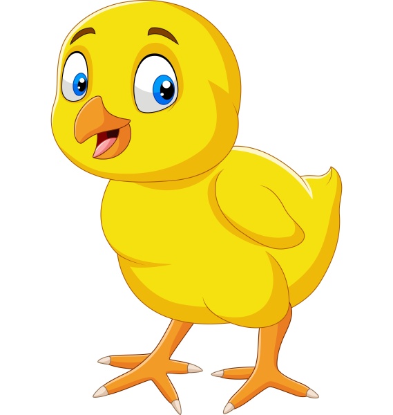 cartoon funny little chick isolated on