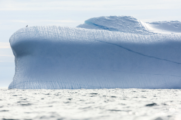 majestic iceberg on atlantic ocean greenland