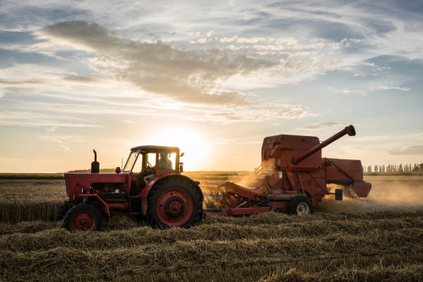 tractor harvesting on farm field in