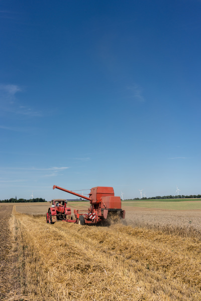 farmer harvesting wheat rows on countryside