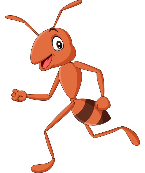 Cartoon happy ant running isolated on white background - Royalty free photo  #28133344 | PantherMedia Stock Agency