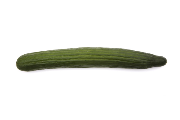 big cucumber