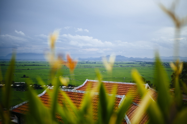 landscape view with rice paddies and