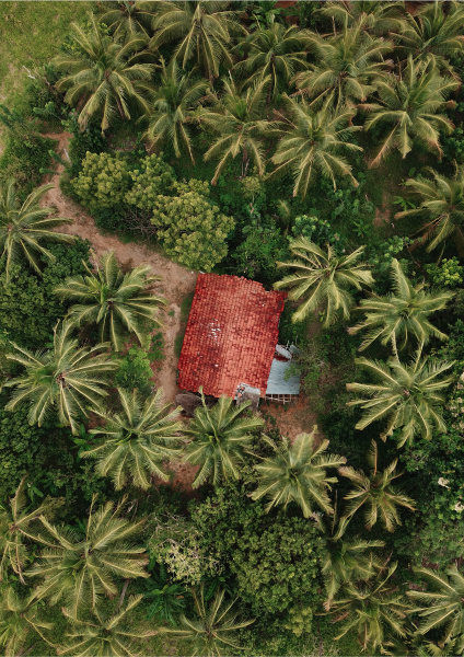 aerial view of a house in