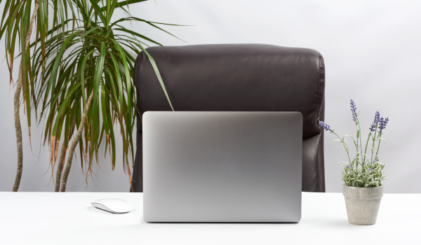 an open gray laptop is standing
